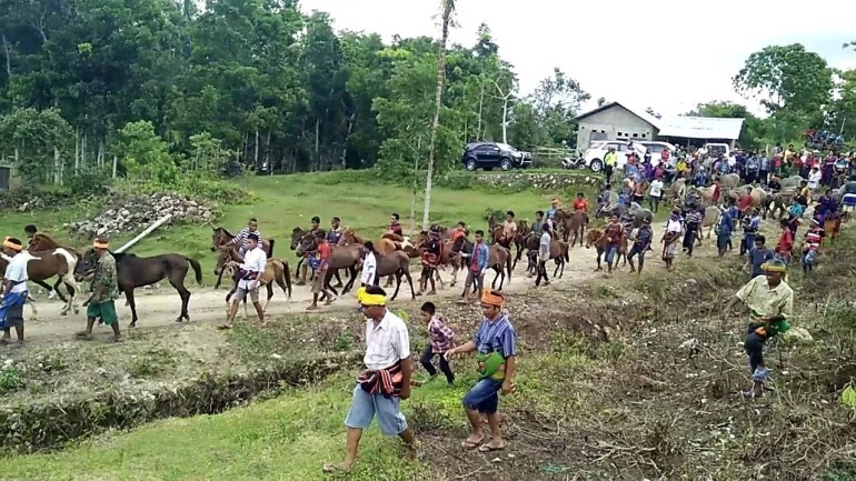 Belis dalam Perspektif Budaya Sumba dan Dampak Pergeseran Maknanya