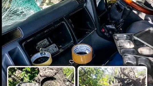 Mobil MBG dan Sepeda Motor Ringsek Tertimpa Pohon Tumbang di Sikka, Korban Dipastikan Selamat