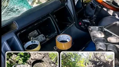 Mobil MBG dan Sepeda Motor Ringsek Tertimpa Pohon Tumbang di Sikka, Korban Dipastikan Selamat